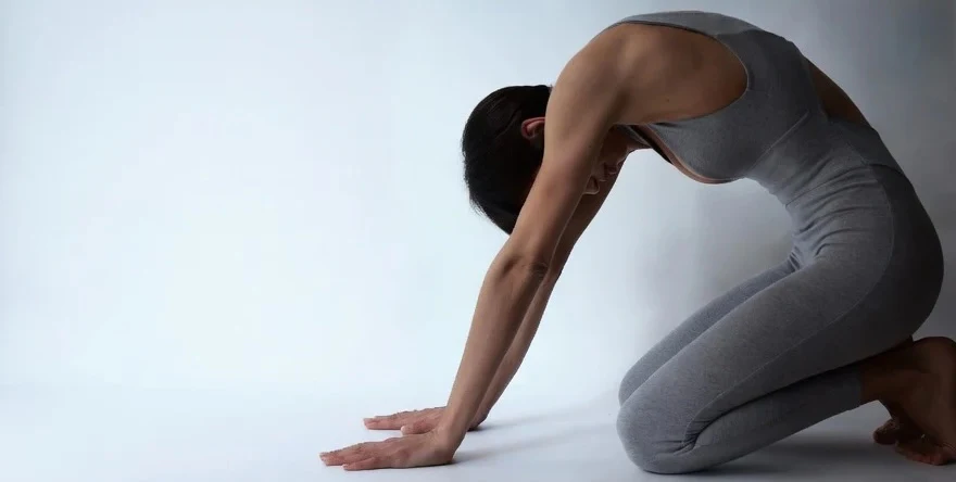 Live The Process or Maaji? Here's What Each Does Best