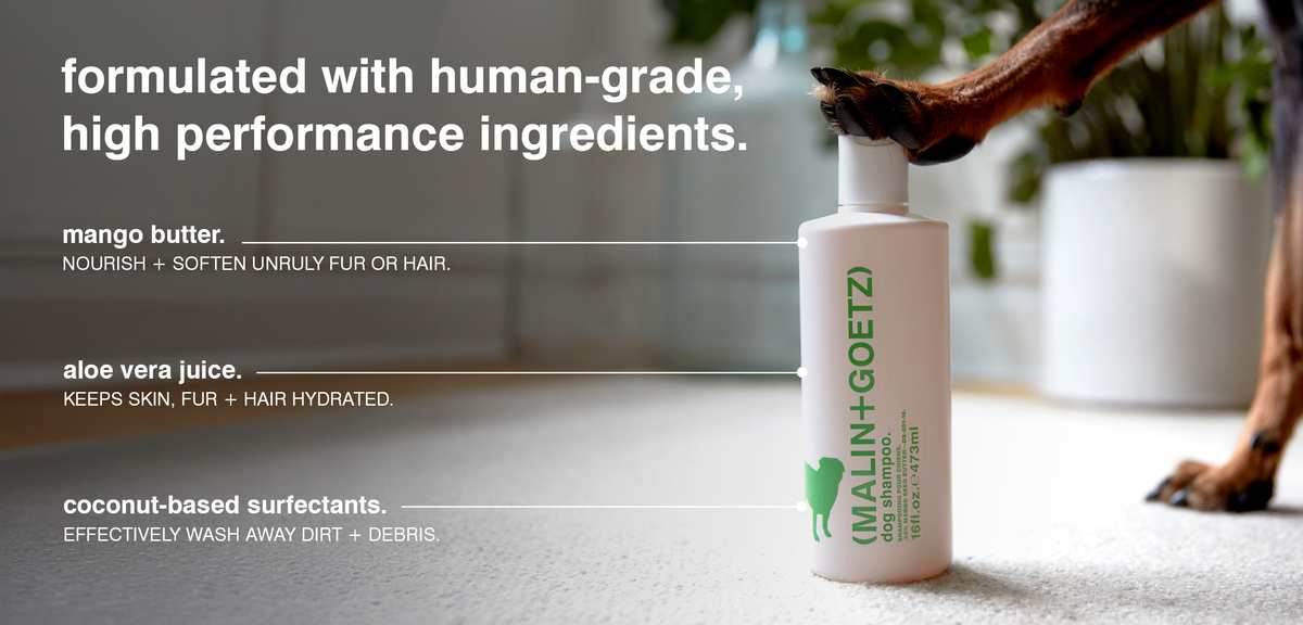 Shopping Malin + Goetz: 15 Tactics Regular Customers Actually Use