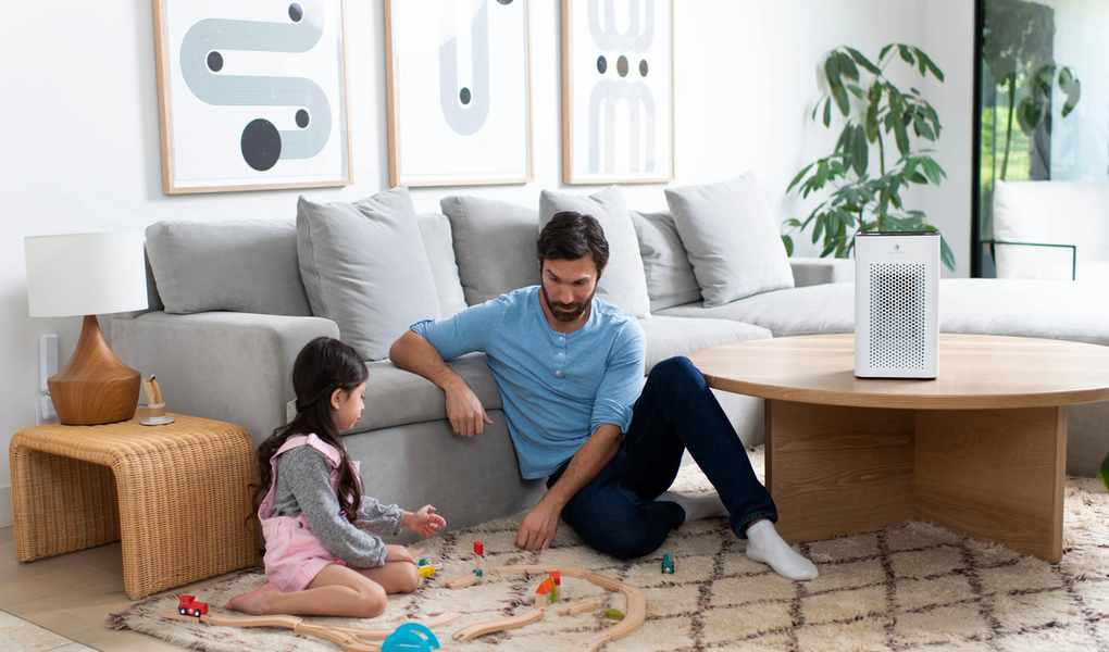 Exploring the Appeal of Medify Air's Air Purifiers