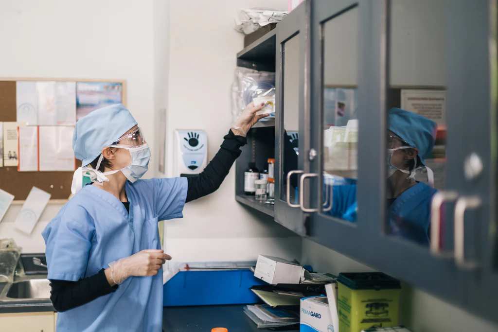 Healthcare Essentials: Brands Shaping the Future in 2026