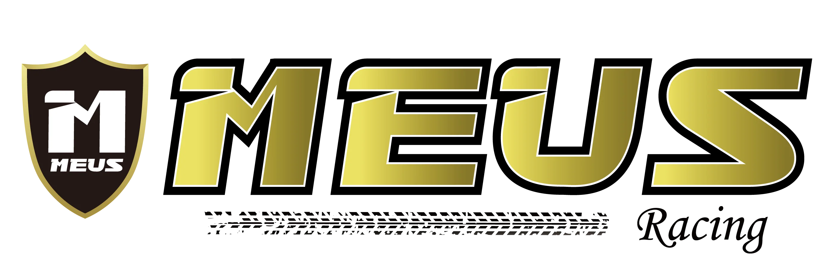 MEUS Racing: A Shopper's Field Guide for RC Enthusiasts