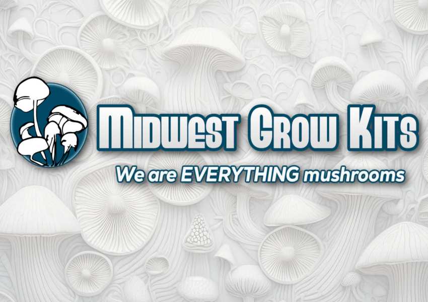 The Honest Comparison: Midwest Grow Kits and What Else Is Out There