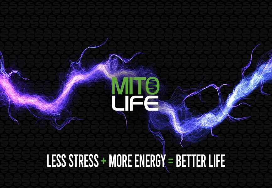 Unlocking Wellness: 12 MITOLIFE Must-Trys + Saving Strategies