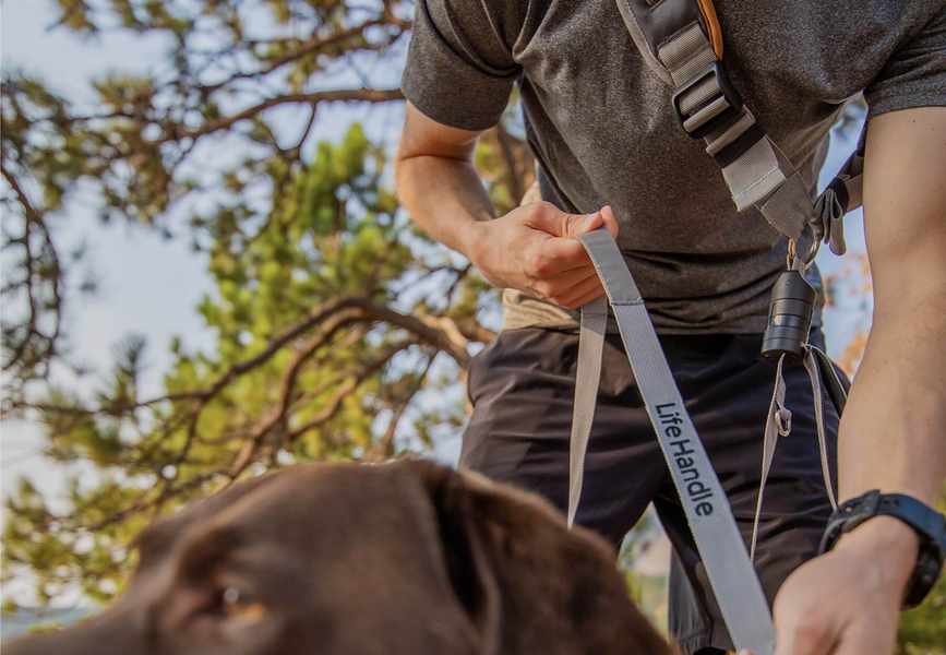 LifeHandle vs the Rest: Which Fashion Accessory Brand Wins?