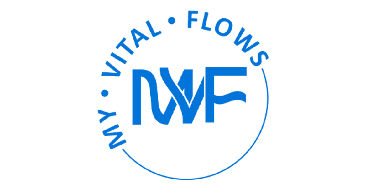 What You Actually Get When You Shop My Vital Flows