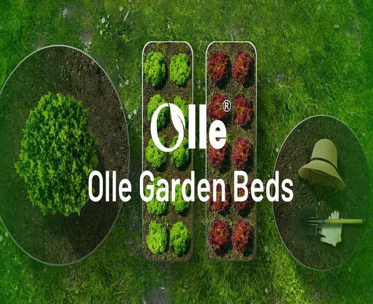 13 Smart Moves for Shopping Olle Gardens