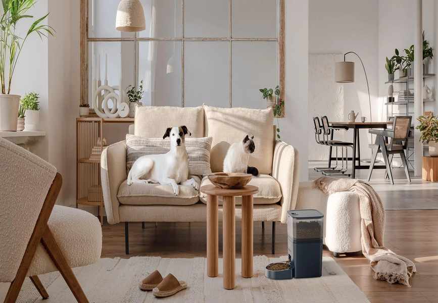 Oneisall 101: 12 Smart Pet Products + Saving Plays Worth Trying