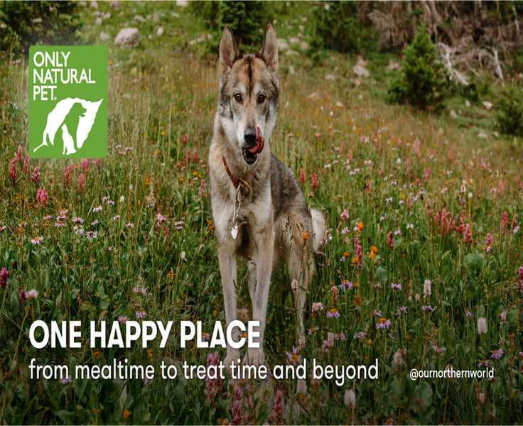 Pet Care's New Wave: Brands to Know This Year