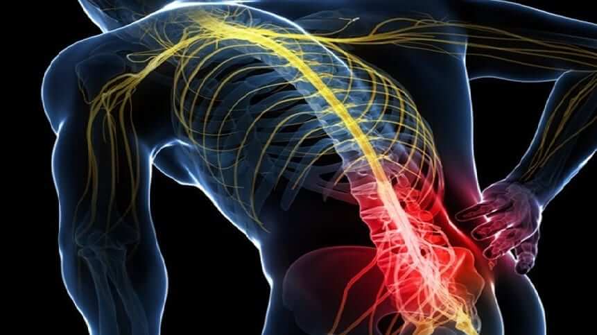 OptimalBack: A Comprehensive Shopper's Guide