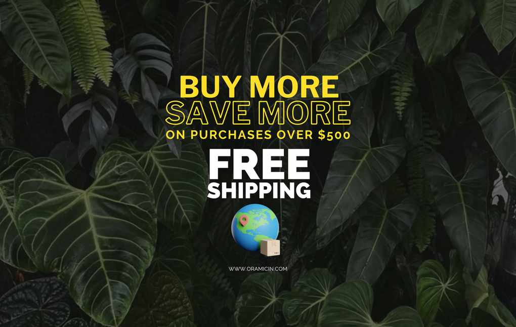 Backyard Retreats: Embrace Greenery with These Brands This Year