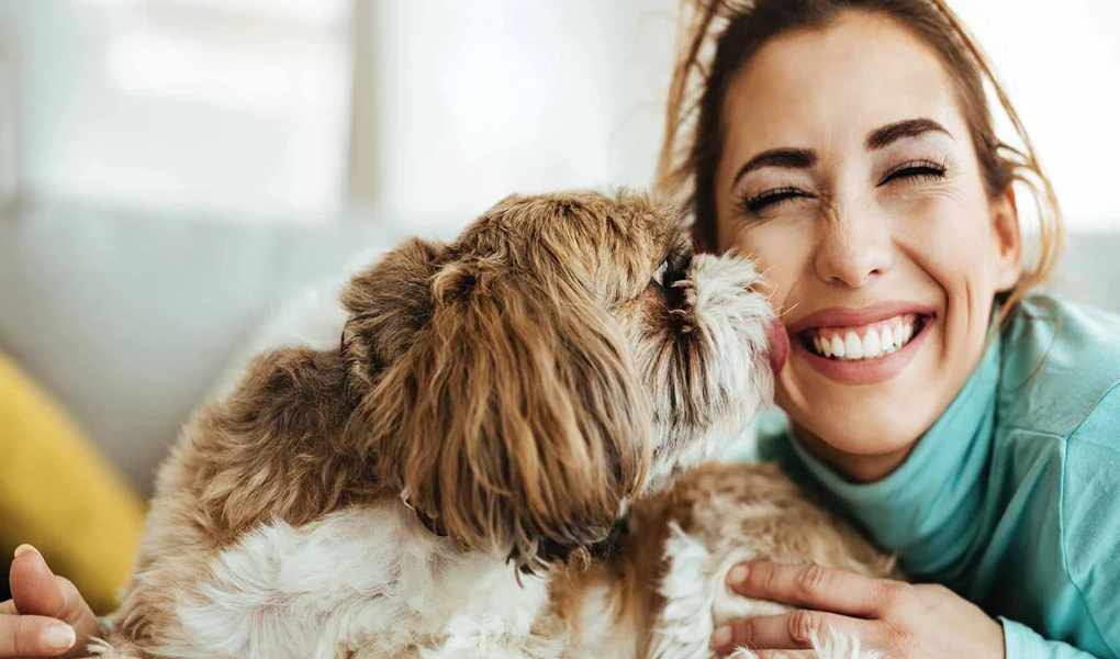 What's Actually Selling in Pet Care Right Now