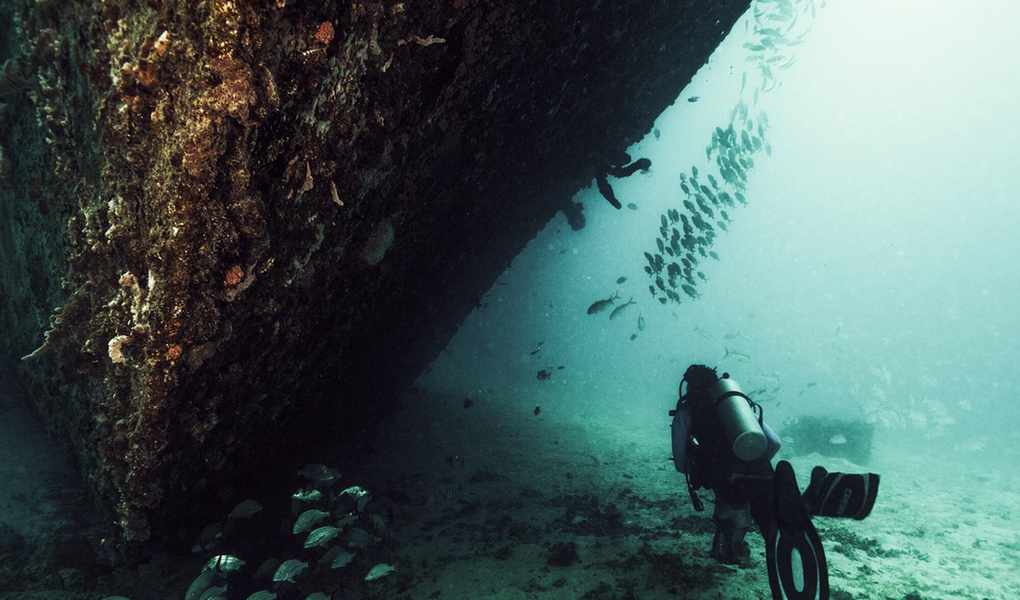The Water Sports Brands Quietly Changing How We Dive