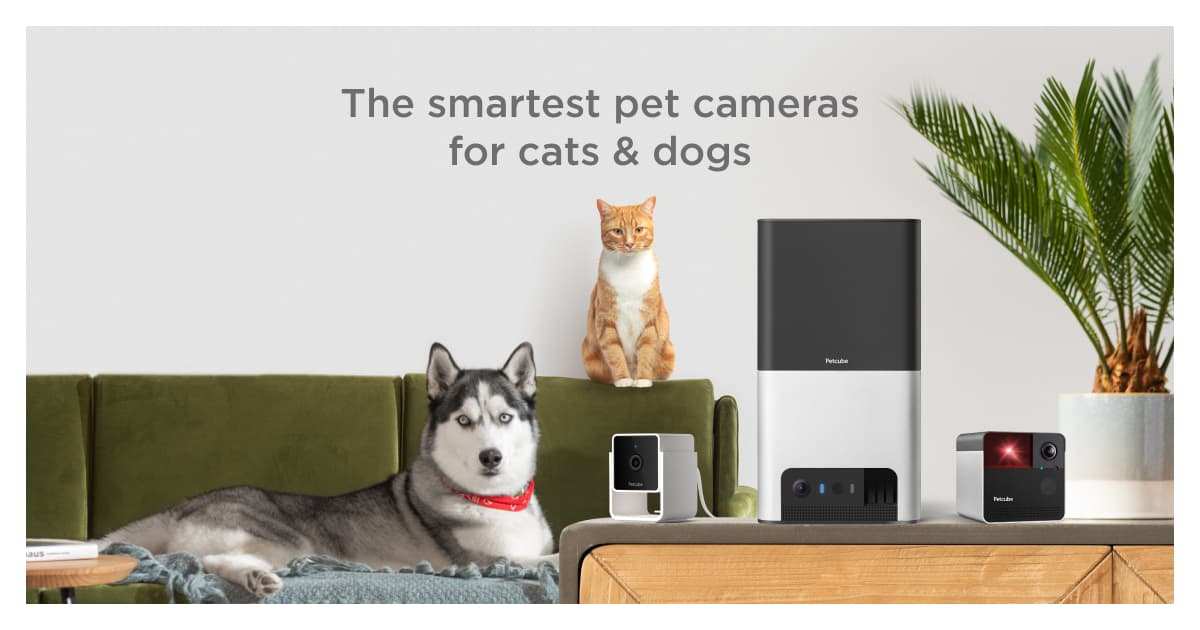 Where Pet Care Is Headed — and Who's Leading