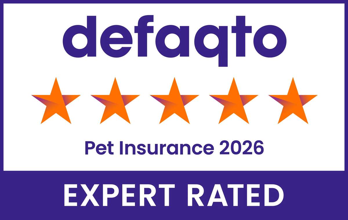 The Honest Take on Petgevity: A Pet Parent's Perspective