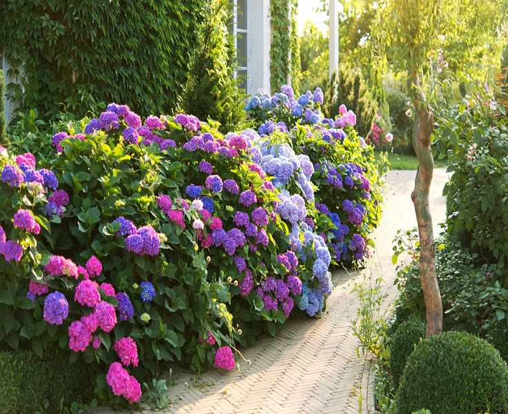 The Honest Comparison: PlantClearance.com and What Else Is Out There