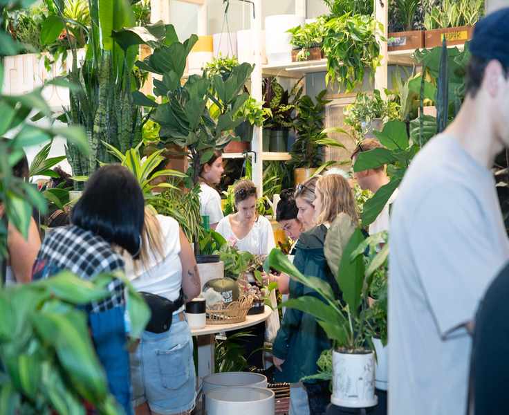 PlantHouse: Cultivating Green Dreams in Your Home