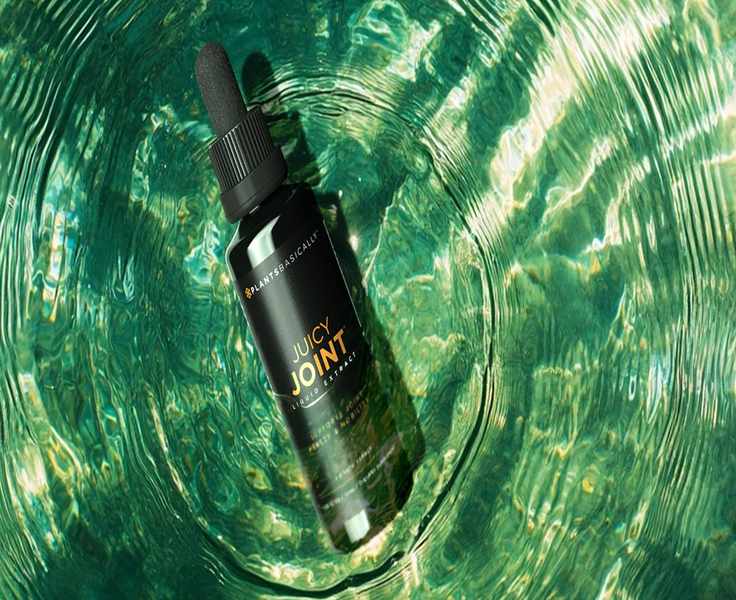 Discovering PlantsBasically: Your Guide to Natural Wellness