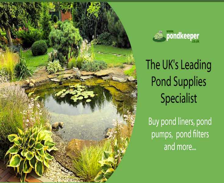 Pondkeeper: Your Go-To for Aquatic Adventures