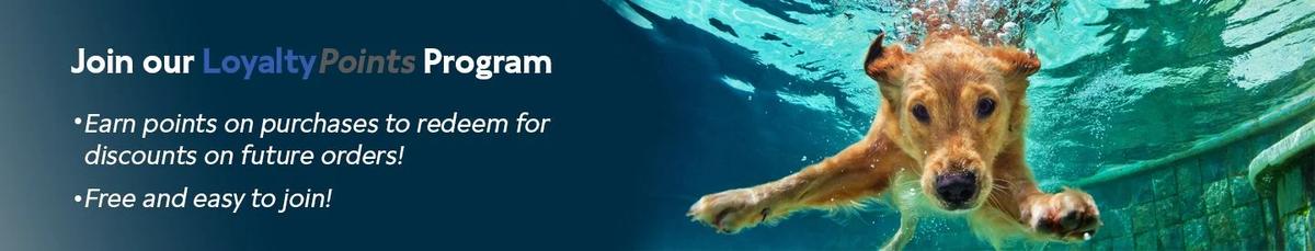 The Backyard Revolution: Pool Supply Brands to Know in 2026