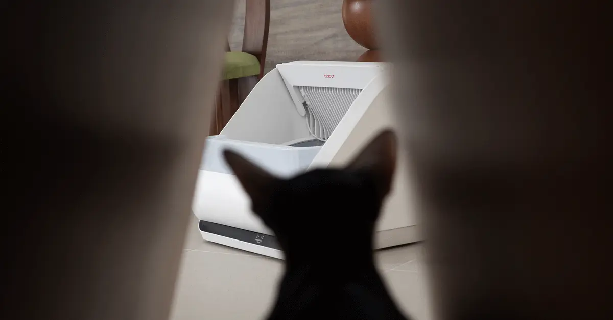 Popur: A Shopper's Field Guide to Cat Care Essentials