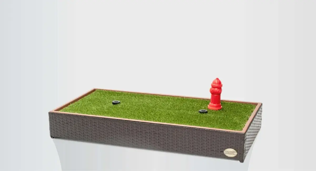 Where Pet Care is Headed — and Who's Leading
