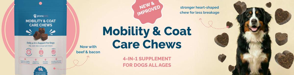12 Ways to Elevate Your Pet Care Routine with Prana Pets