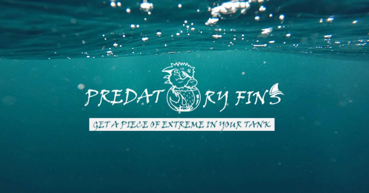 Exploring Predatory Fins: A Deep Dive into Exotic Aquatic Pets