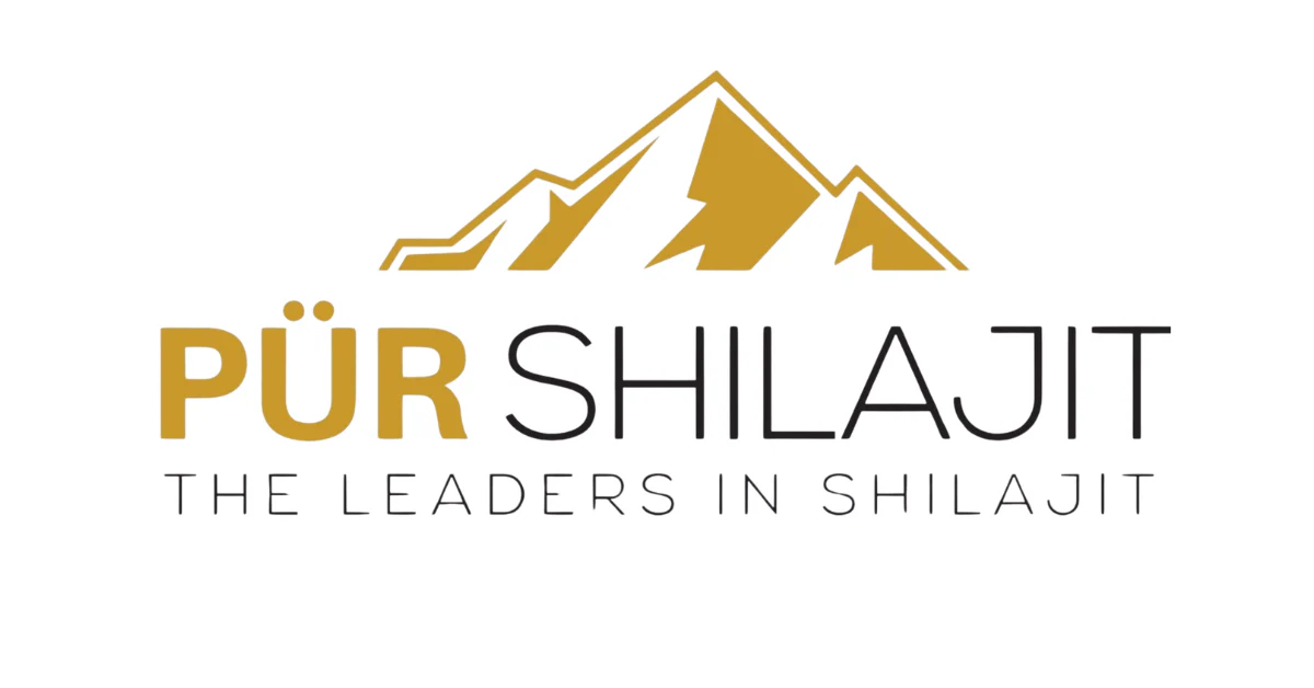 12 Ways to Boost Your Wellness with Pür Shilajit