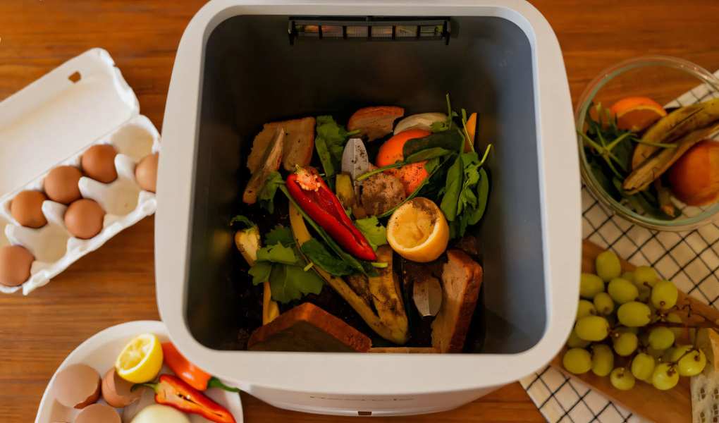 The Shift Towards Sustainable Living: Composting in 2026