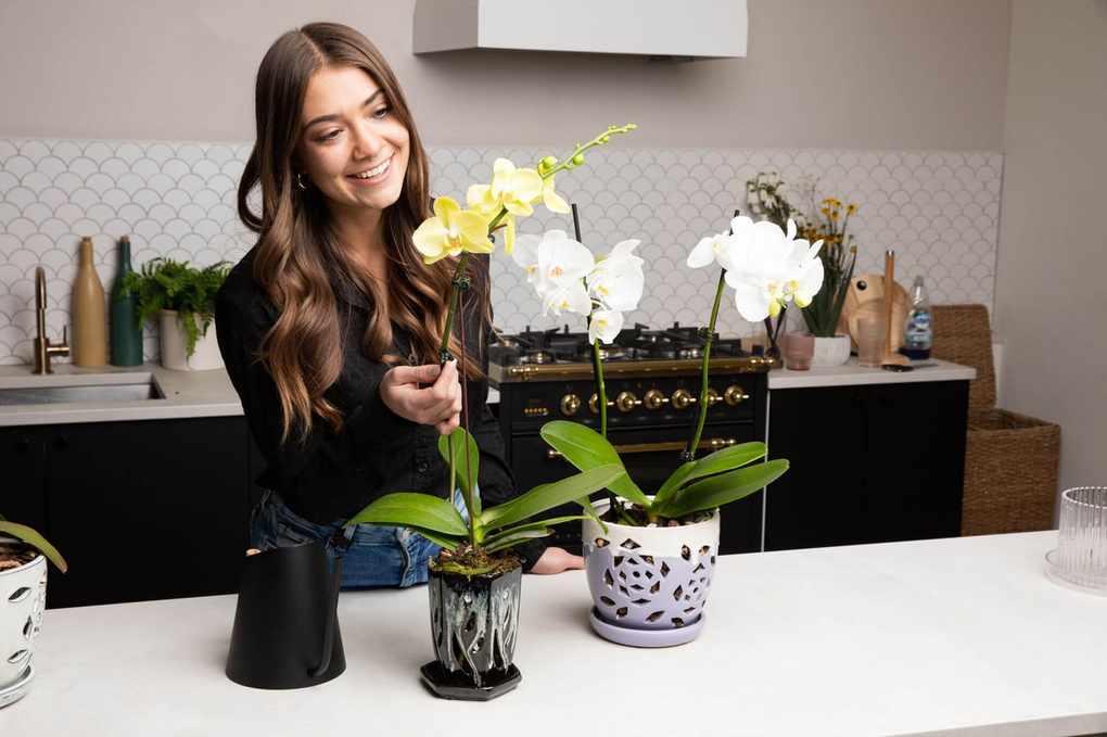The Backyard Brands Quietly Changing How We Shop
