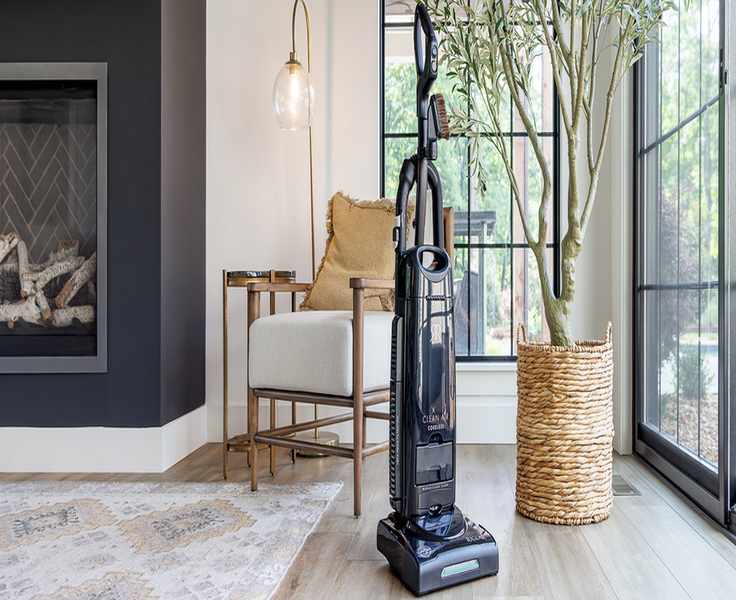 Uncovering the Power of Riccar Vacuums in Your Home
