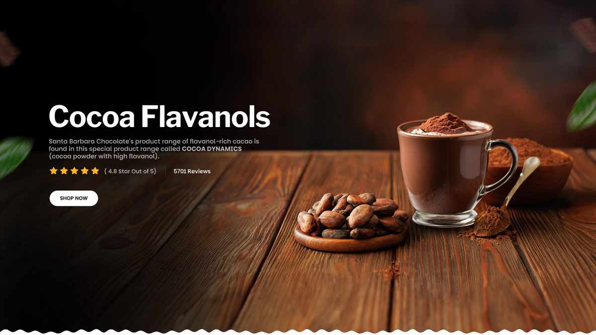 The Honest Comparison: Santa Barbara Chocolate and What Else Is Out There