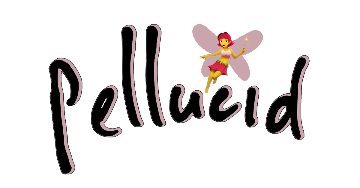 12 Essential Insights Before Shopping at Pellucid