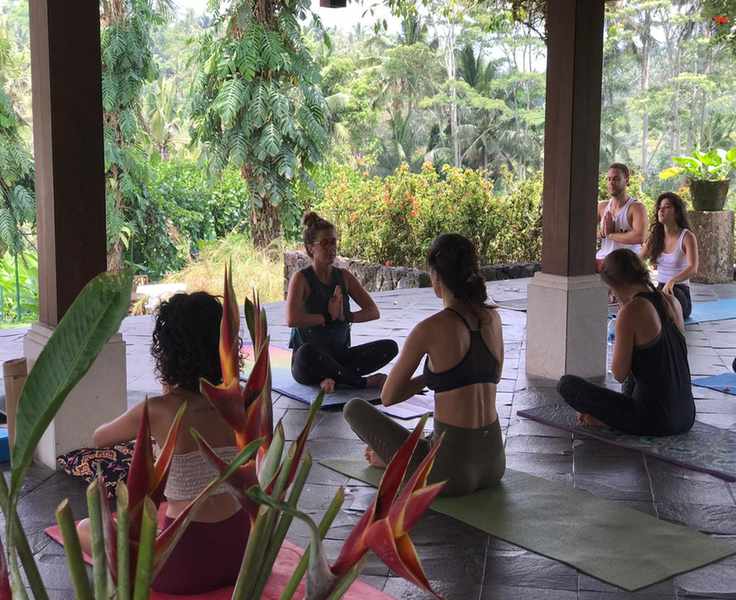 Yogatation 2026: A Buyer's Reality Check