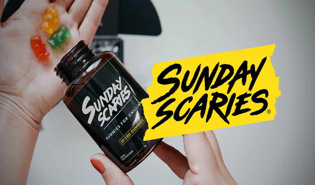 12 Insights to Enhance Your Wellness Journey with Sunday Scaries