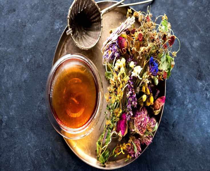 A Journey Through Wellness: The Brothers Apothecary Experience