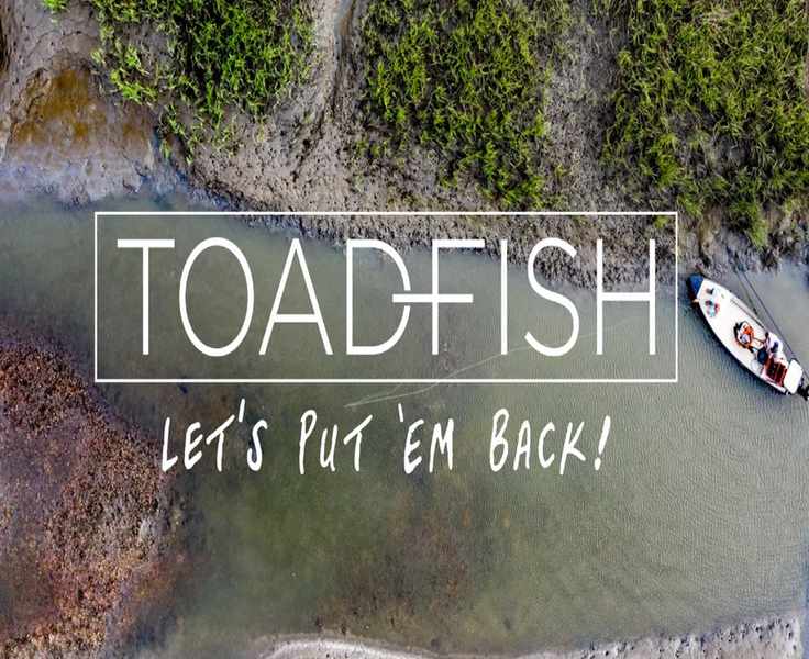Toadfish: A Sustainable Approach to Coastal Living