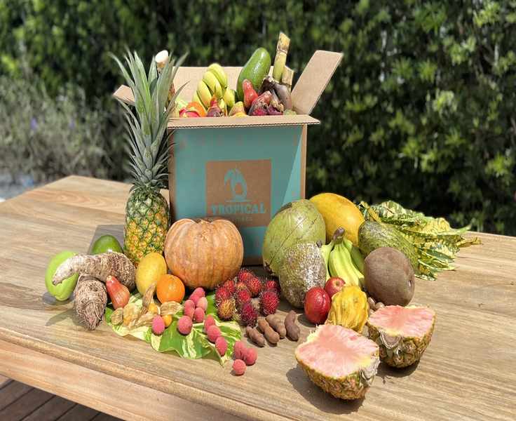 Tropical Fruit Box's New Wave: Brands to Know This Year