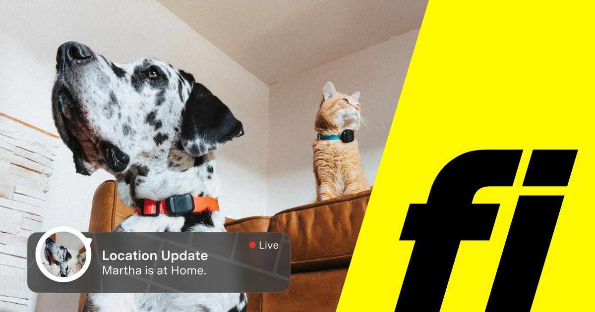 What You Should Know Before Choosing Fi Dogs for Your Pet