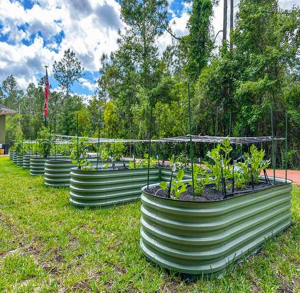 VEGEGA: Cultivating an Eco-Friendly Gardening Future