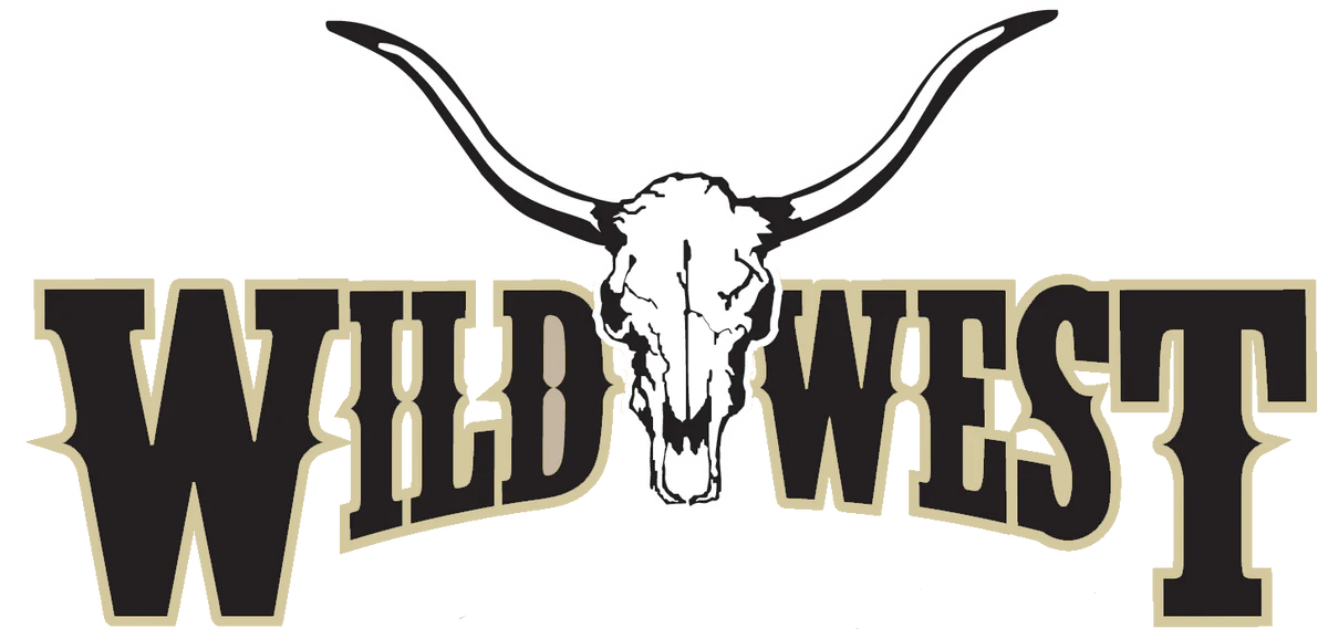 Choosing Between Wild West Boot Store and Its Top Competitors