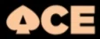 AcePickleball — 10% off