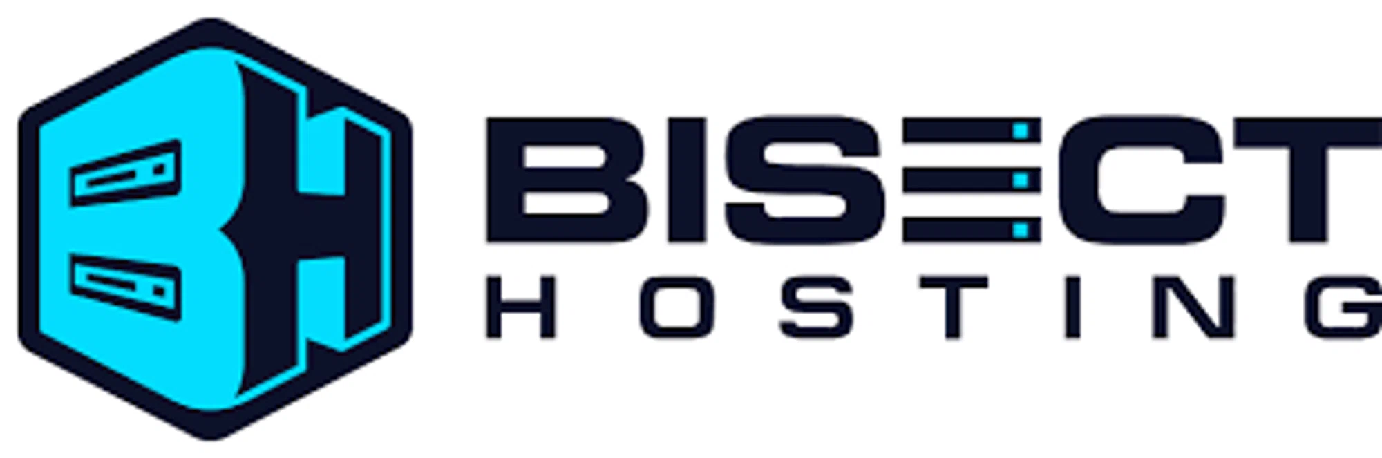 BisectHosting — 25% off
