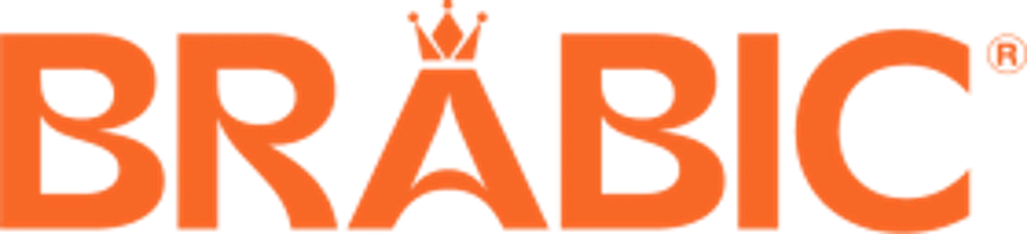 BRABIC logo