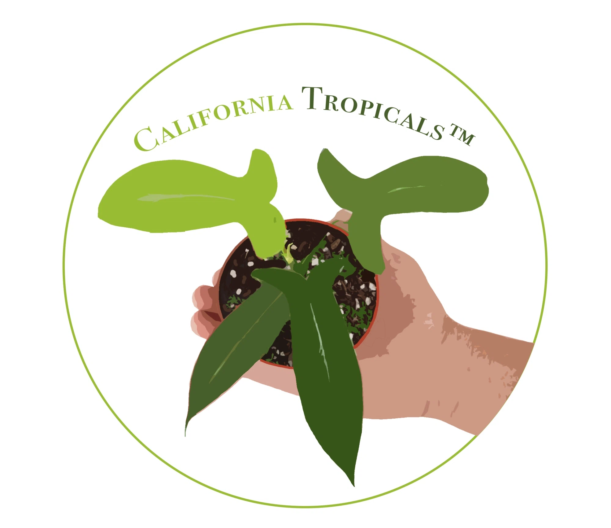 California Tropicals logo