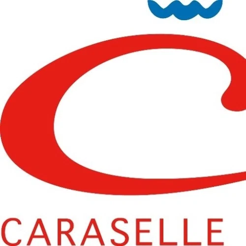 Caraselle Direct logo