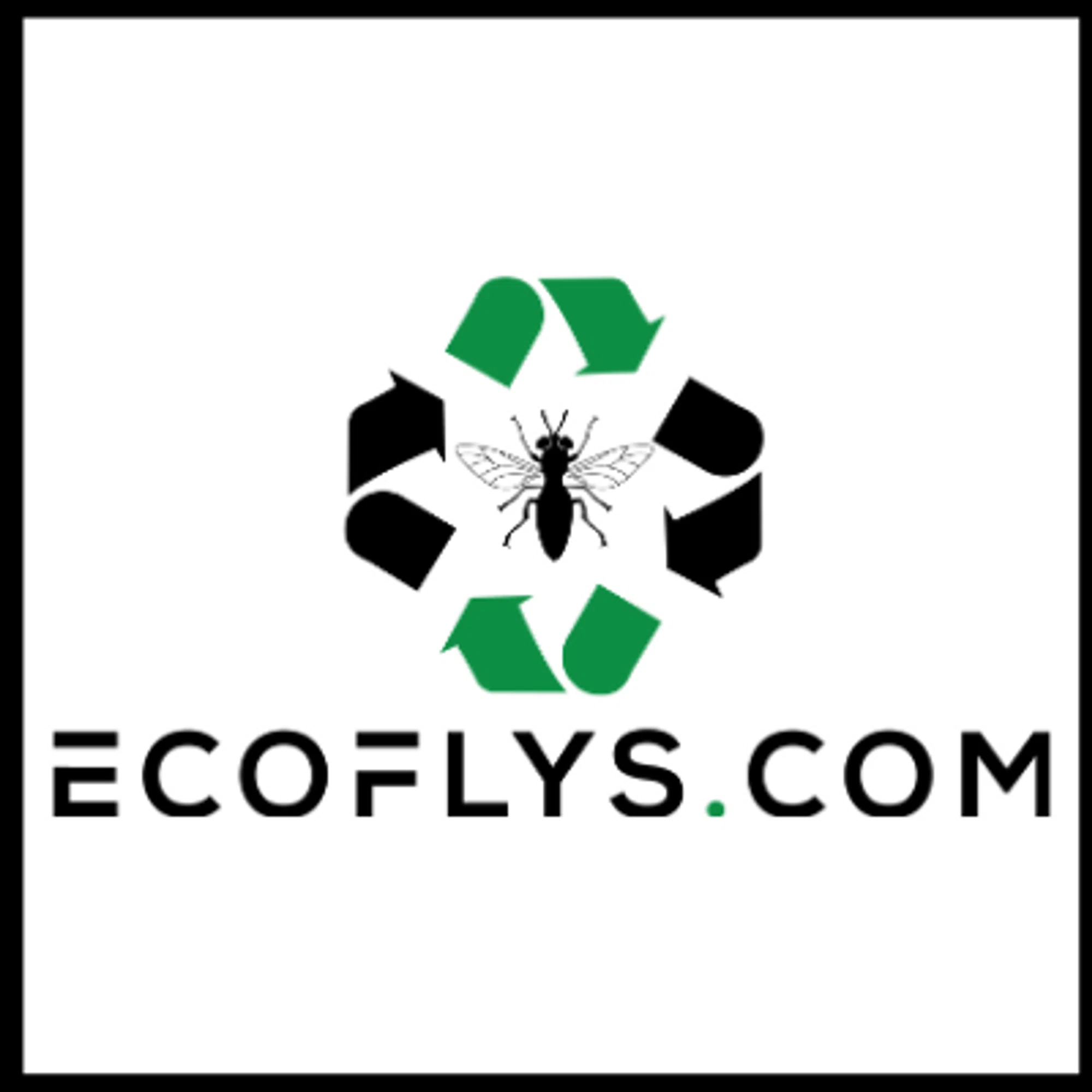 Ecoflys.com logo
