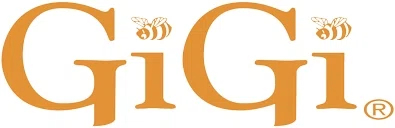 Gigi Spa logo