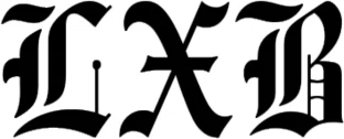 Level X Black logo
