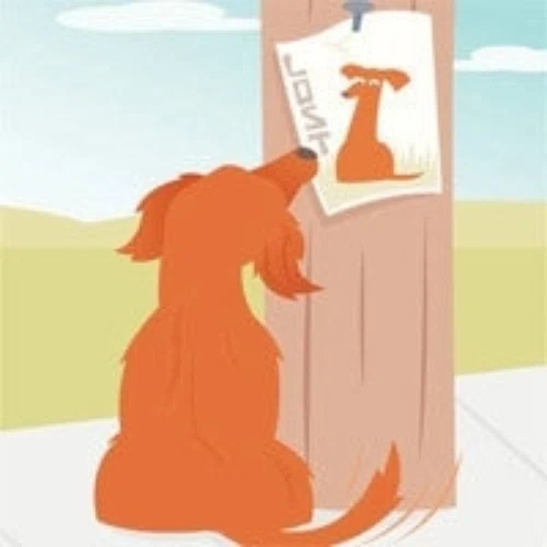 LostMyDoggie.com — $20 off
